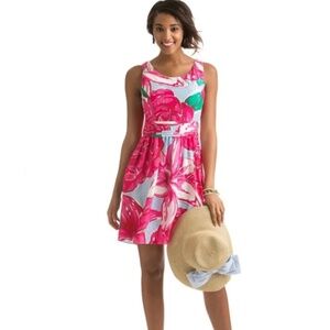 Vineyard Vines Run For The Roses Derby Dress Size 4